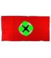 NSDAP