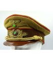 NSDAP Political leader visor cap