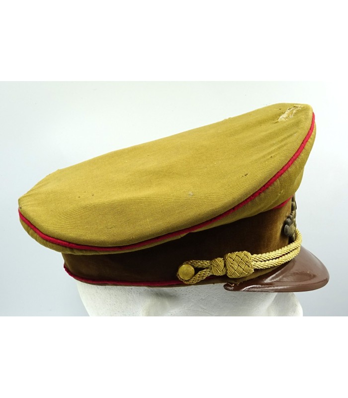Casquette de Politischer Leiter du NSDAP