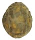 Waffen-SS helmet cover