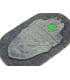Demjansk sleeve shield