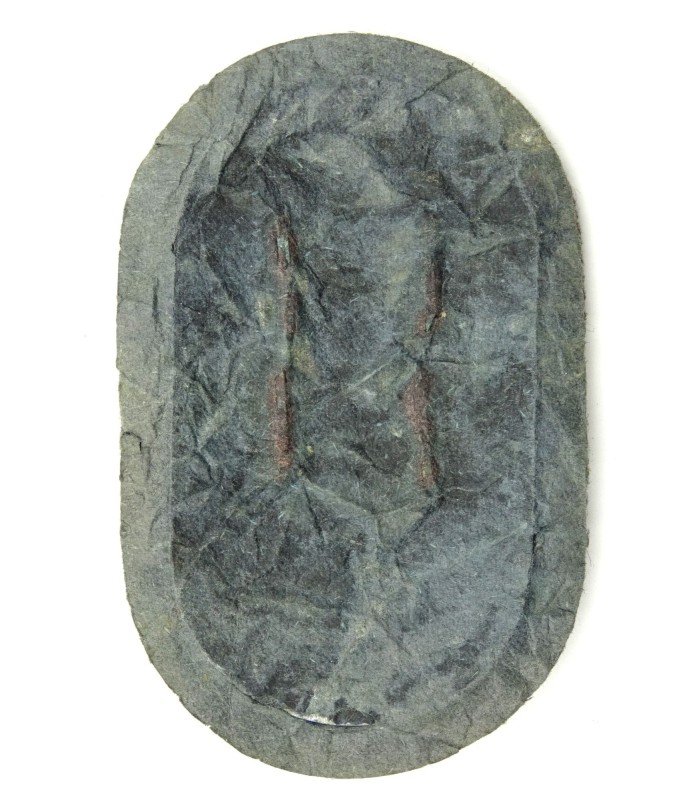 Demjansk sleeve shield