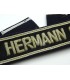 Fallschirm-Panzer-Division Hermann Göring