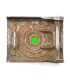 Boucle de ceinturon SS