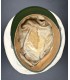 Casquette blanche d'officier de la Polizei