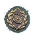 Insigne de conducteur chevronné WH