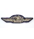 LW officer's cap insignia