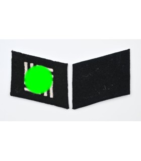 SS collar tabs pair