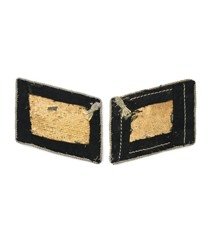 SS collar tabs pair