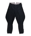 SS breeches