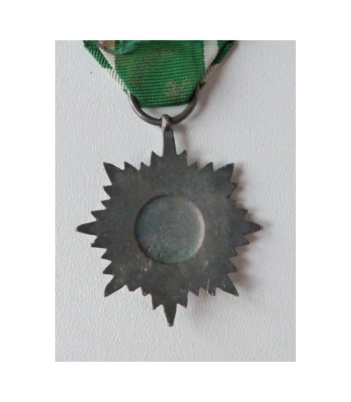 Volontaires de l'Est