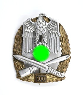 Insigne d'assaut général 100