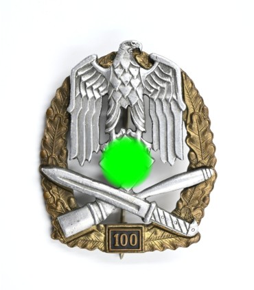 Insigne d'assaut général 100