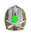 Insigne d'assaut général 100