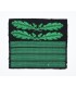Waffen-SS combat uniform insignia
