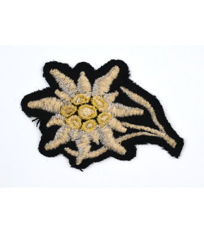 Division de montagne de la Waffen-SS