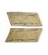 Paire de pattes de col WH troupe