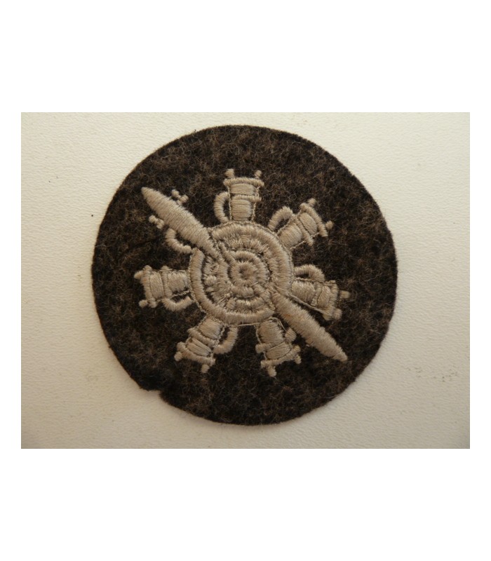 Insigne de spécialité