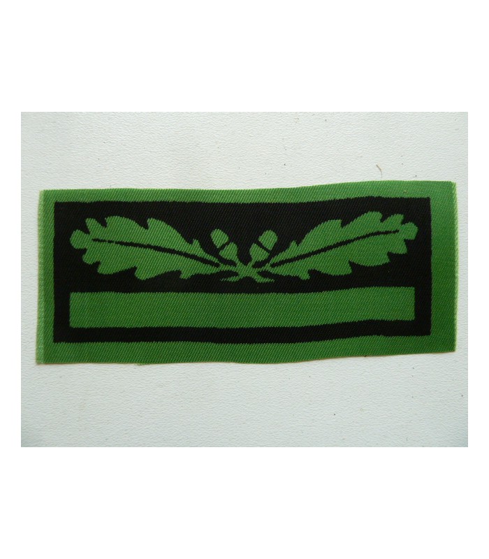 Untersturmführer/Leutnant