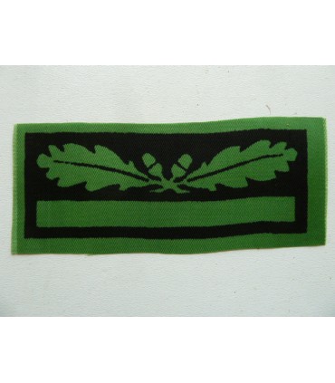 Untersturmführer/Teniente