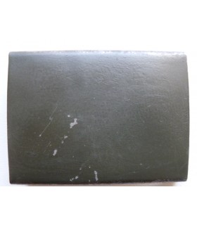 Battaglione disciplinare