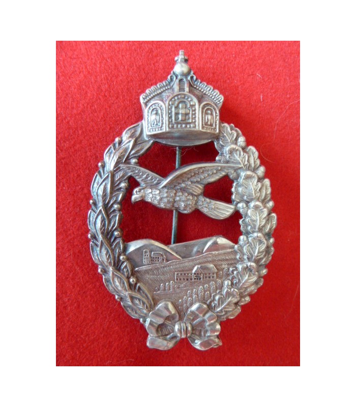WW1 pilot badge