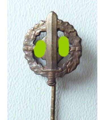 SA-Sportfähigkeitsabzeichen