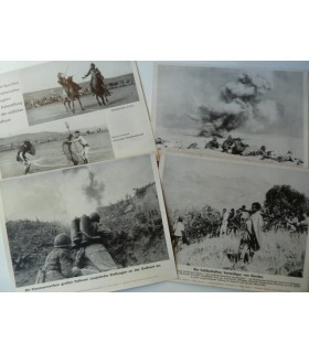 Foto stampa formato 23x18